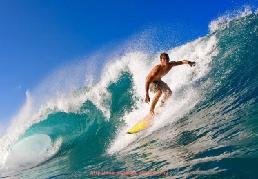 JRS低调看球-世俱杯赛事保险政策详解及球队受益分析